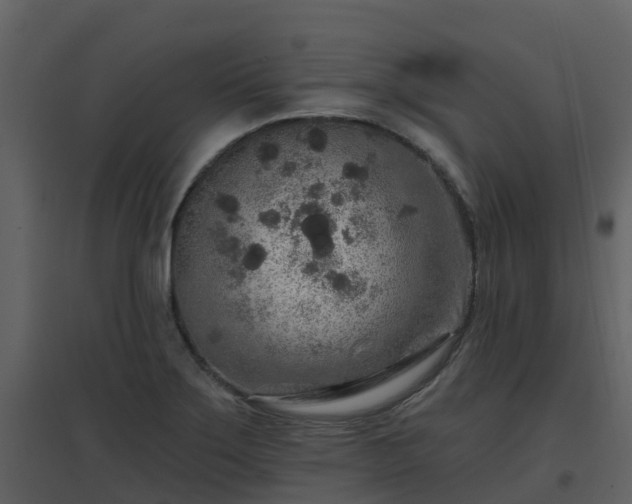 X0000096711275200802121217