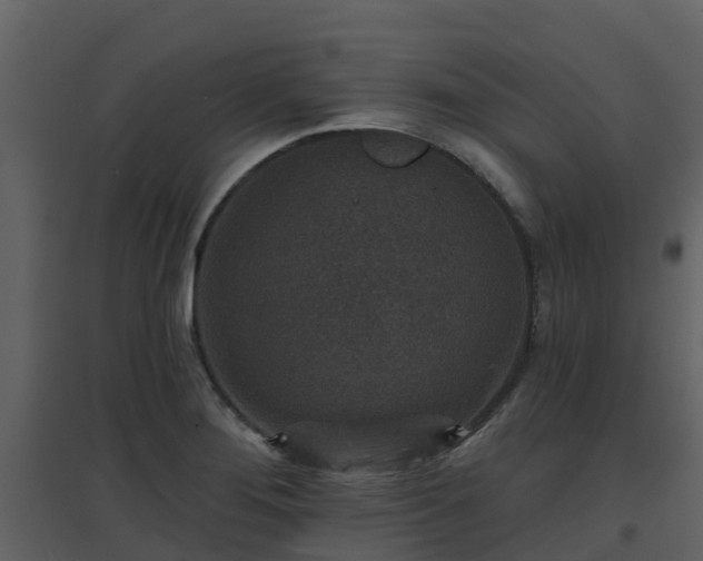 X0000096711276200802121217