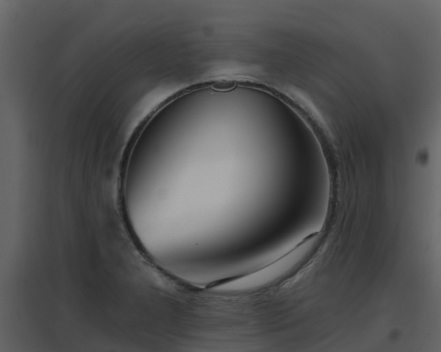 X0000096711277200802121217