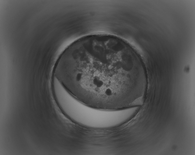 X0000096711279200802121217