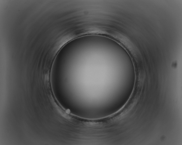 X0000096711281200802121217