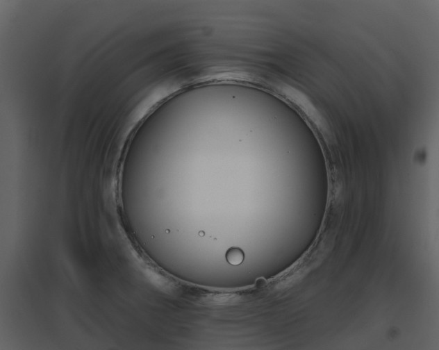 X0000096711282200802121217