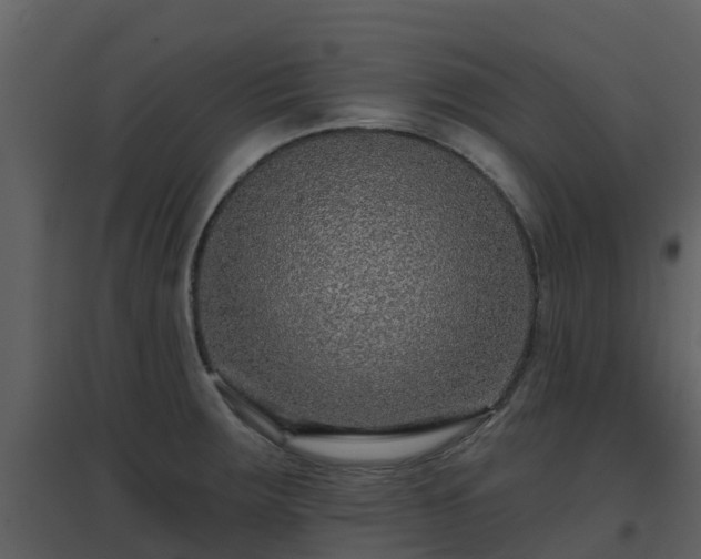 X0000096711283200802121217