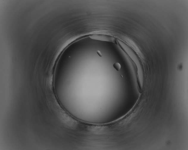 X0000096711284200802121217