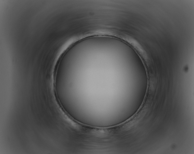 X0000096711286200802121217