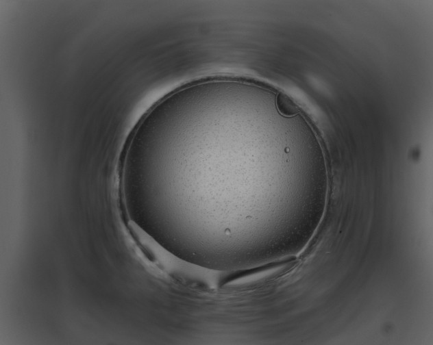 X0000096711287200802121217