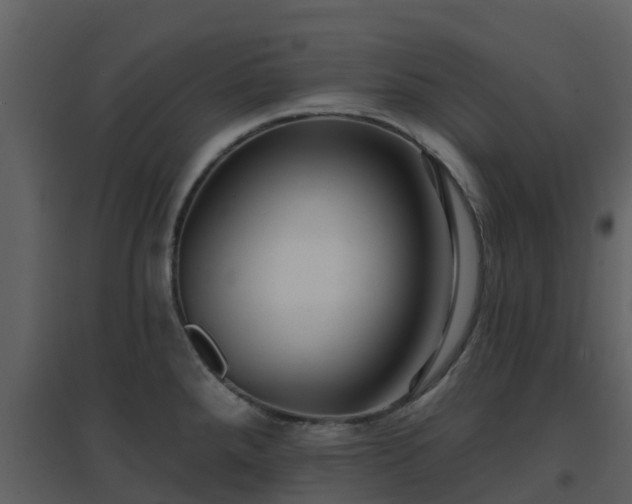 X0000096711288200802121217