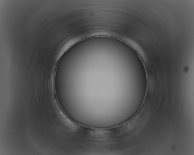 X0000096711290200802121217