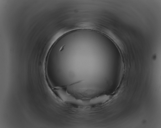 X0000096711291200802121217