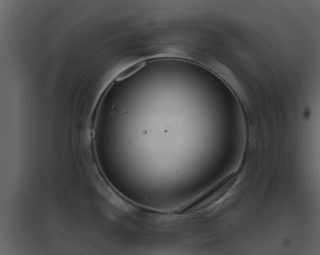 X0000096711292200802121217