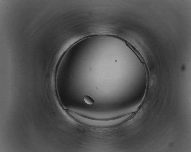 X0000096711293200802121217