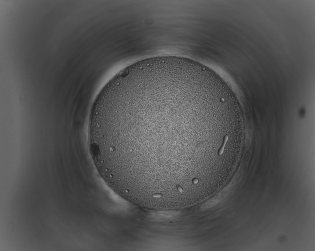 X0000096711294200802121217