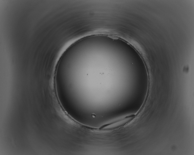 X0000096711296200802121217