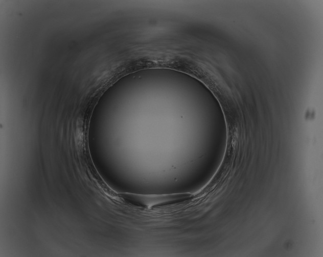 X0000096711298200802121216