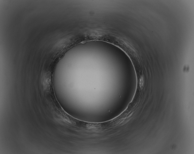 X0000096711299200802121216