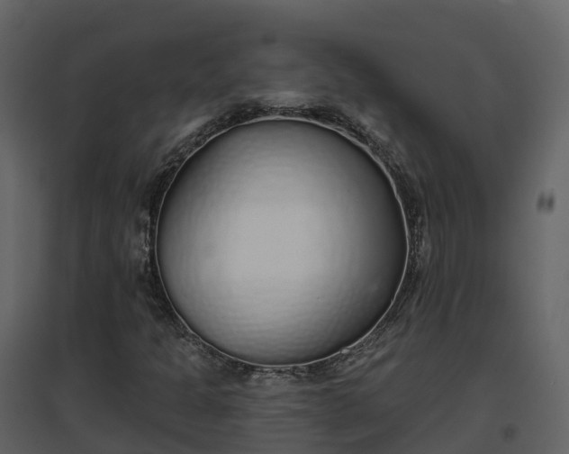 X0000096711301200802121216