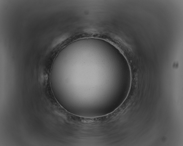 X0000096711302200802121216