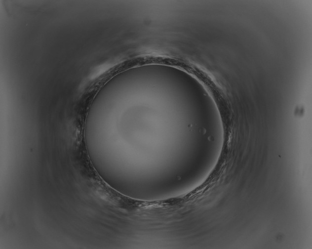 X0000096711303200802121216