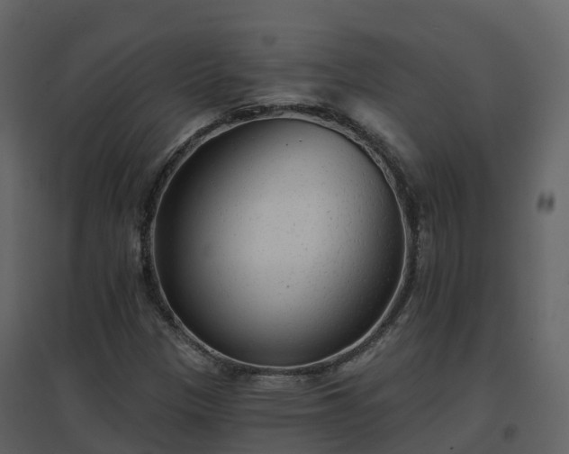 X0000096711305200802121216