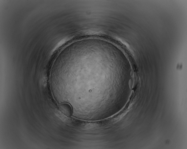 X0000096711306200802121216