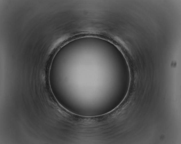 X0000096711307200802121216