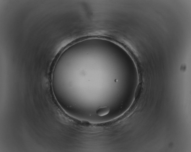 X0000096711308200802121216