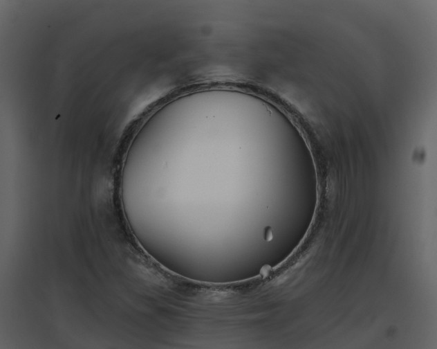 X0000096711309200802121216