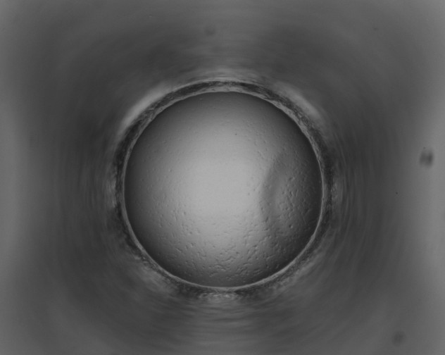 X0000096711310200802121216