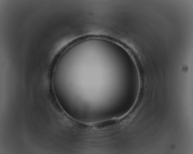 X0000096711311200802121216