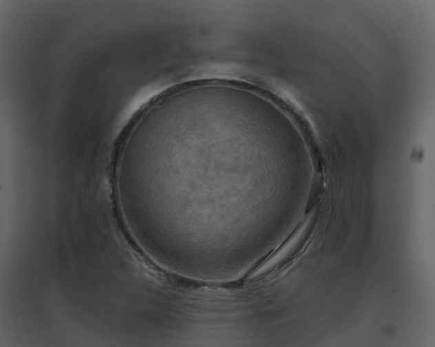 X0000096711312200802121216