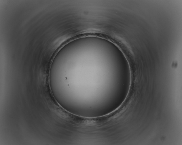 X0000096711313200802121216