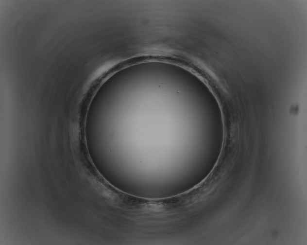 X0000096711315200802121216