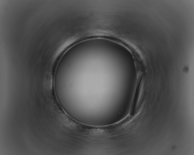 X0000096711317200802121216