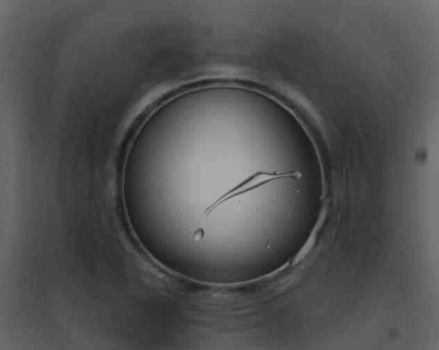 X0000096711318200802121216