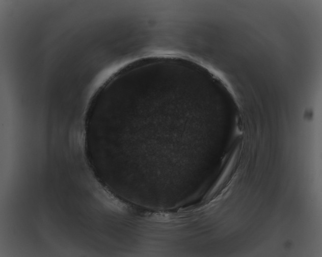 X0000096711319200802121216