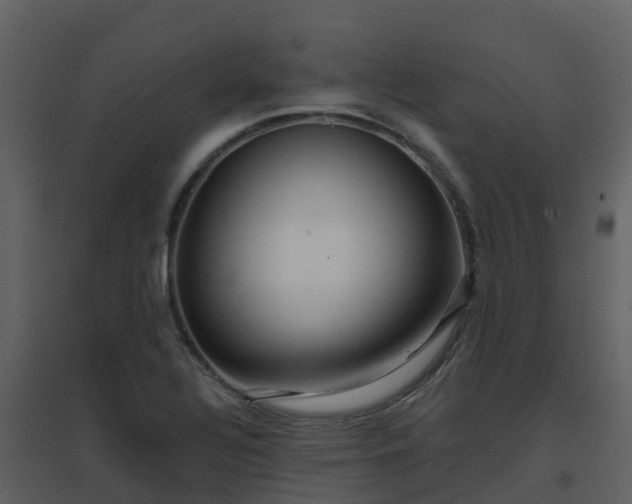 X0000096711320200802121216