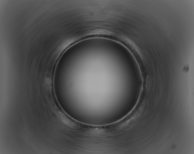 X0000096711321200802121216