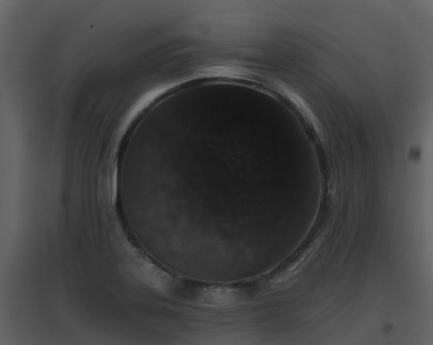 X0000096711323200802121216