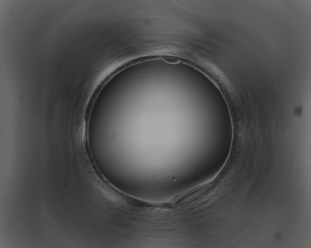 X0000096711324200802121216