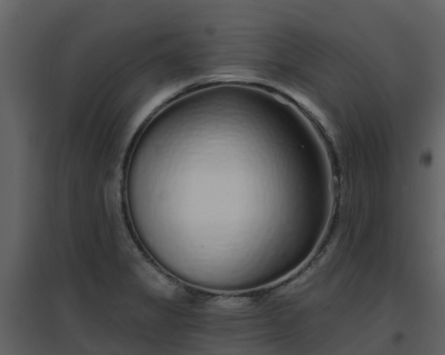 X0000096711325200802121216