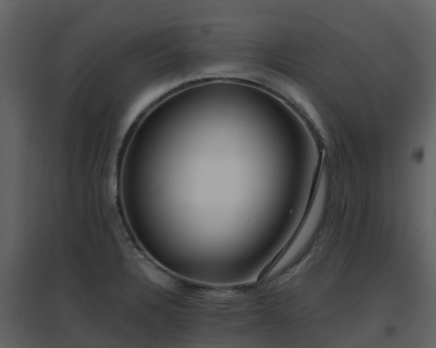 X0000096711328200802121216