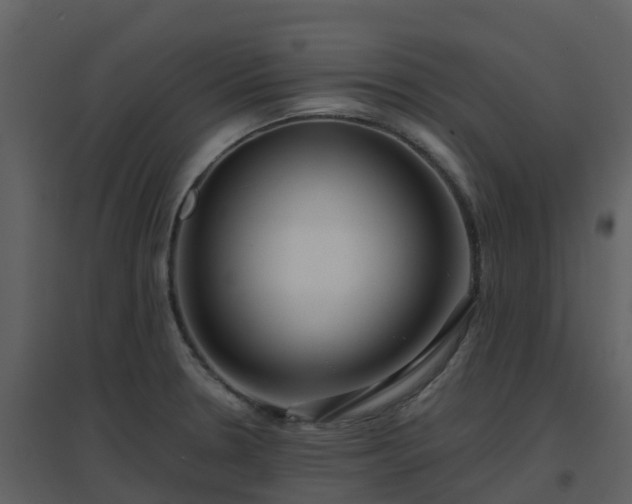 X0000096711330200802121216