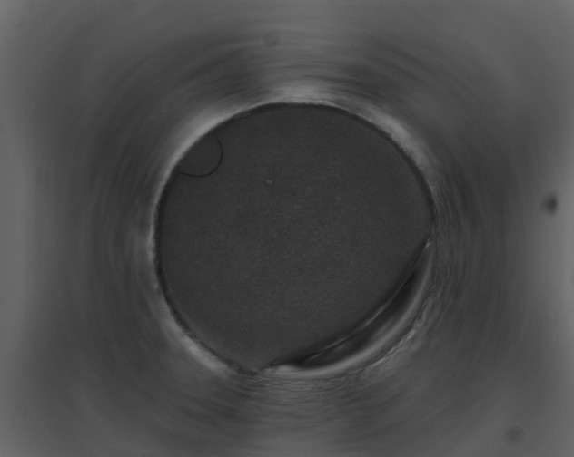 X0000096711331200802121216