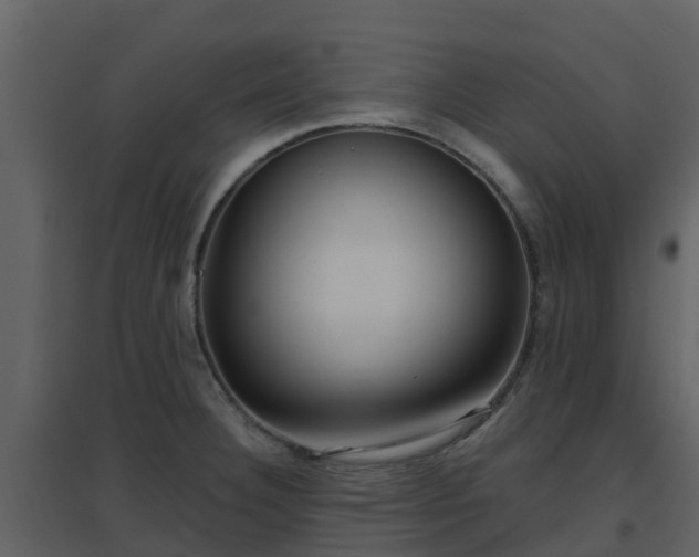 X0000096711332200802121216