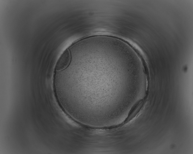 X0000096711333200802121216