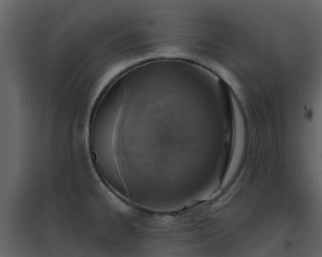 X0000096711334200802121216