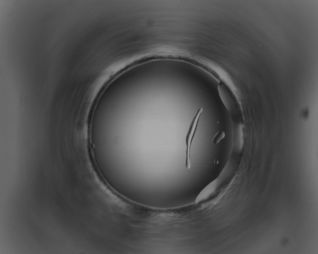 X0000096711335200802121216