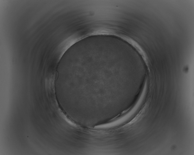 X0000096711337200802121216