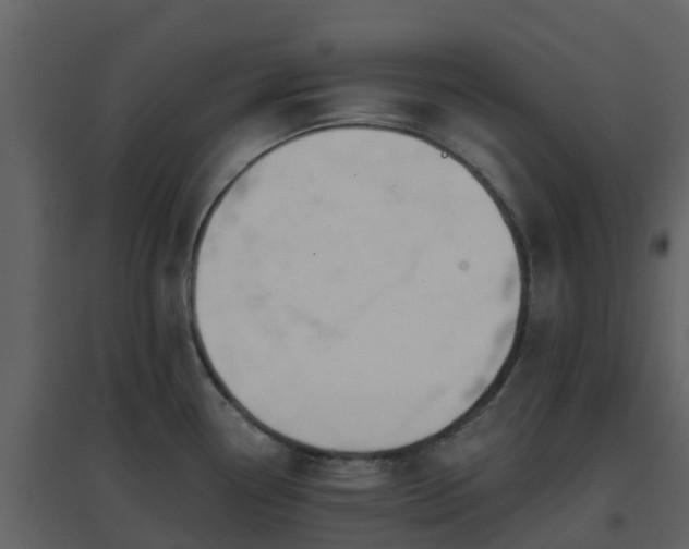 X0000096711338200802121216