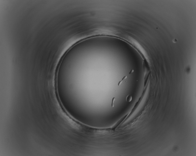 X0000096711339200802121216